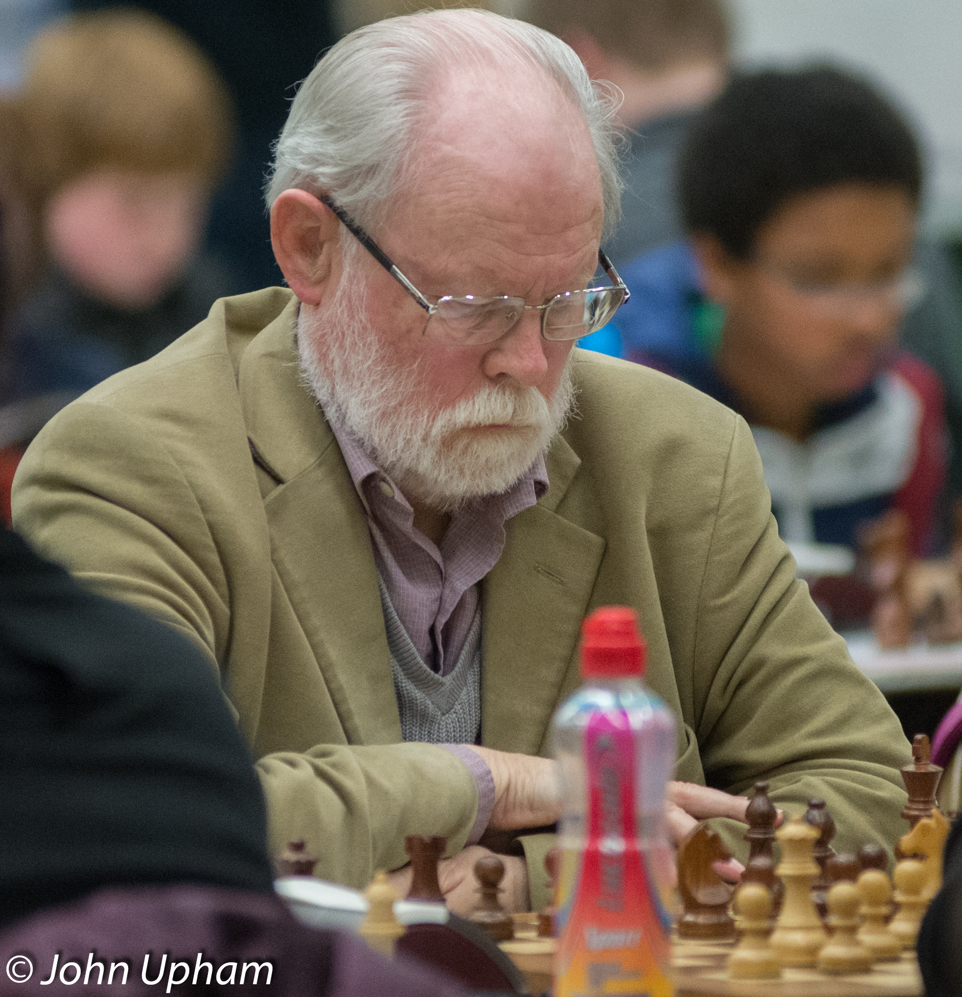 FM Bernard Cafferty, Hastings Congress 2013-14, courtesy of John Upham Photography