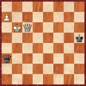 Honfi - Toth Budapest Ch 1966 Position after 162.Kb6