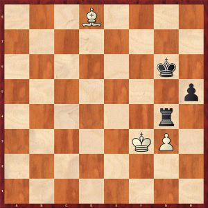 Study based on Reshevsky-Fischer game White to play and draw